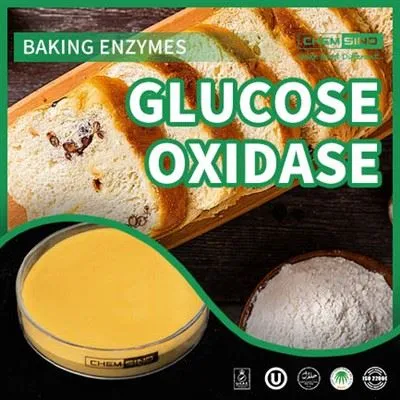 Китайската глюкозооксидаза трансформира вашите рецепти! CAS №: 9001-37-5