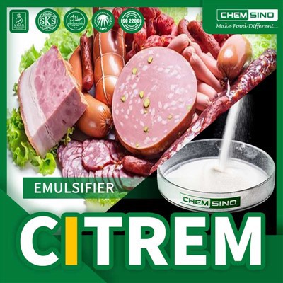 Надежден производител на емулгатор CITREM E472c|CAS 36291-32-4